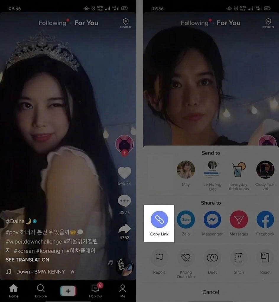 How to Save TikTok Videos Without the Save Button Quickly, No App - SaveTik guide