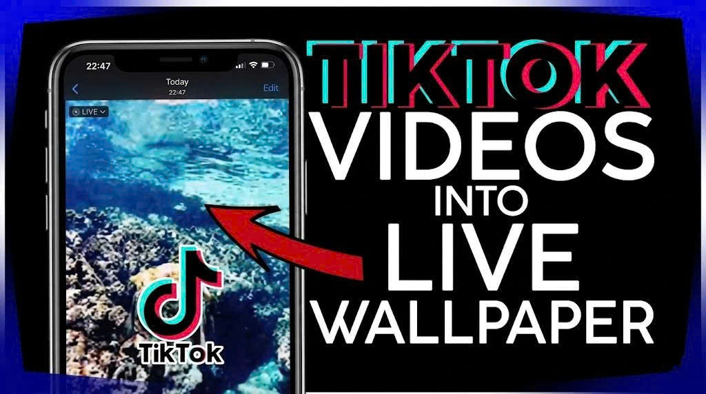 How to Turn TikTok Videos into Phone Wallpapers in Seconds