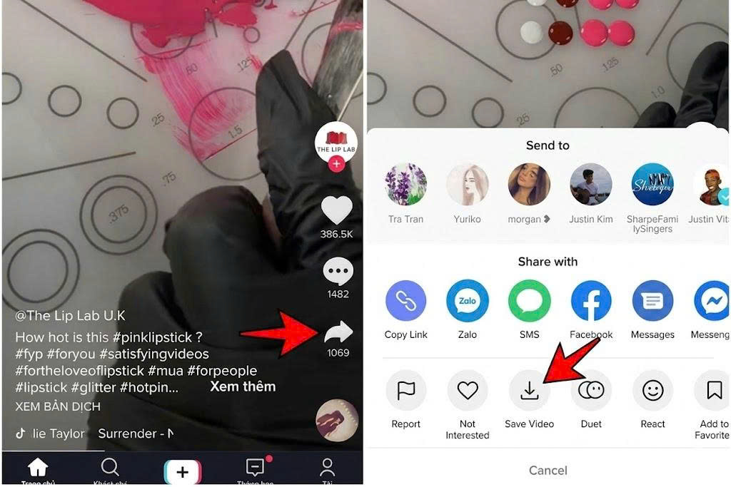 Step-by-Step Guide to Setting TikTok Videos as Ringtones on iPhone - SaveTik guide