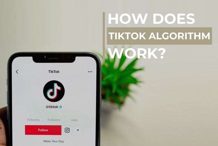 TikTok Algorithm in 2026: What Actually Drives Views and Growth Today