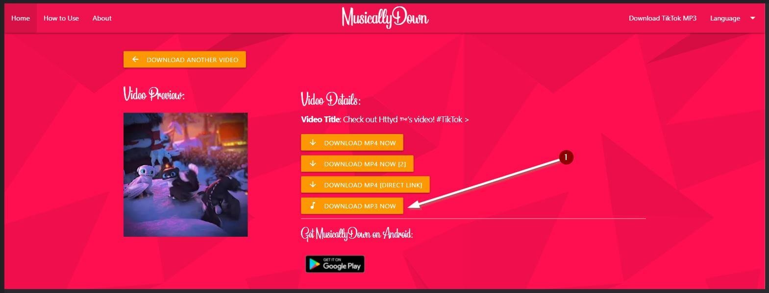 TikTok Downloader FAQs: Everything You Need to Know - SaveTik guide